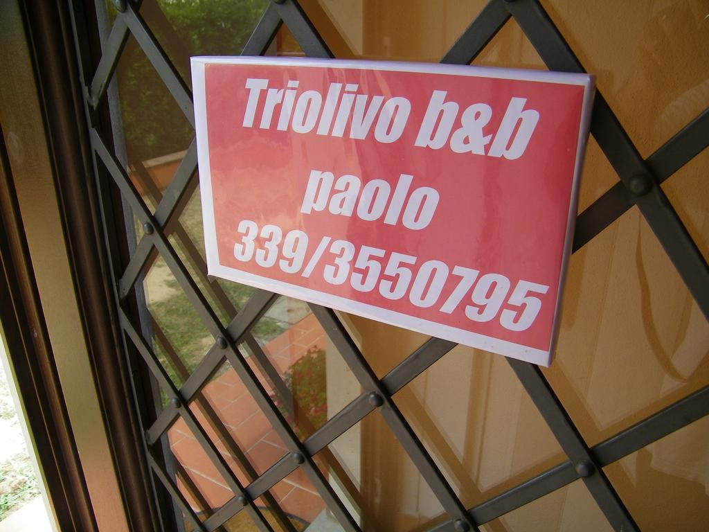 Triolivo B&B Lucca Ngoại thất bức ảnh